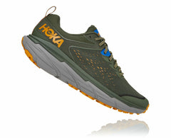 Men's Challenger ATR 6 - Thyme / Sharkskin