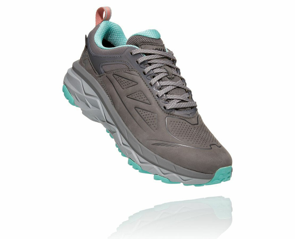 Women's Challenger Low GORE-TEX - Charcoal Gray / Wild Dove
