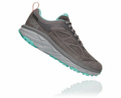 Women's Challenger Low GORE-TEX - Charcoal Gray / Wild Dove