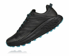 Women's Speedgoat 4 GORE-TEX - Anthracite / Dark Gull Grey