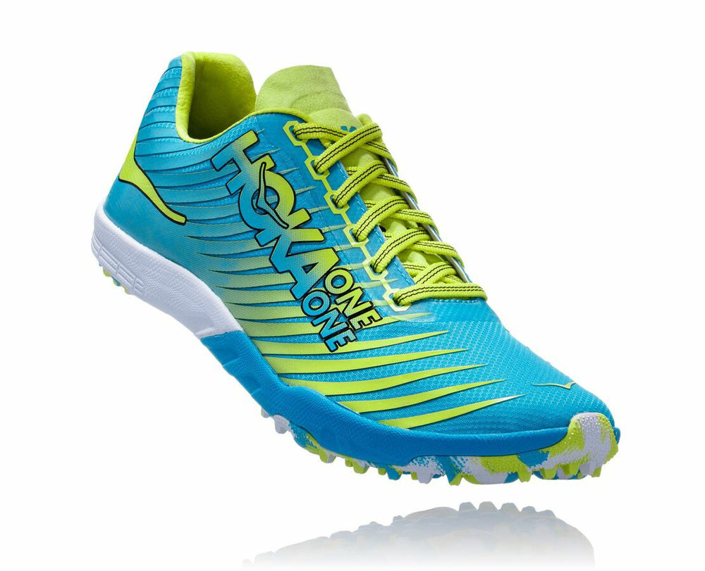 Men's EVO XC Spikeless - Cyan / Citrus