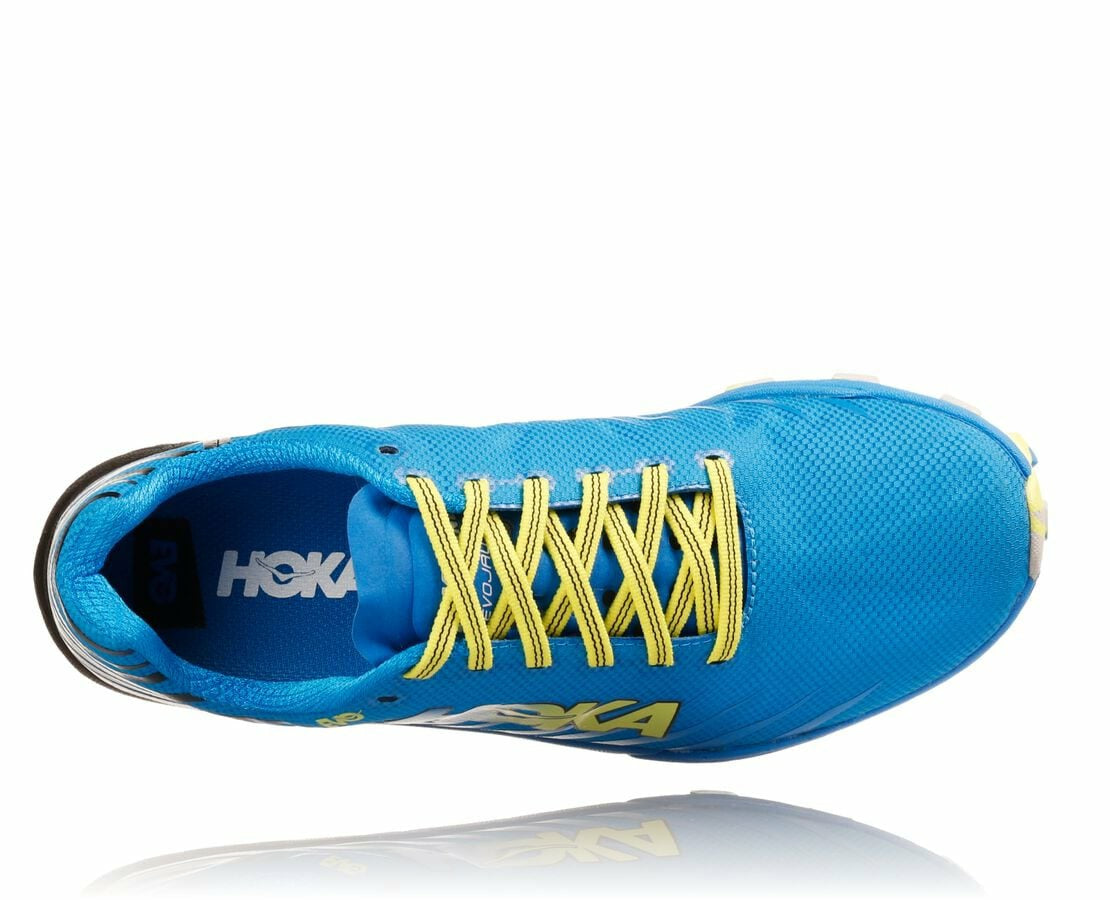 Women's EVO Jawz - Cyan / Citrus