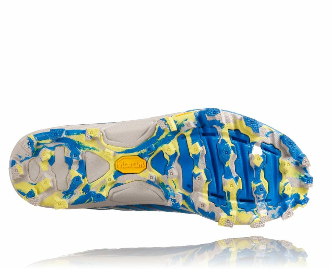 Women's EVO Jawz - Cyan / Citrus