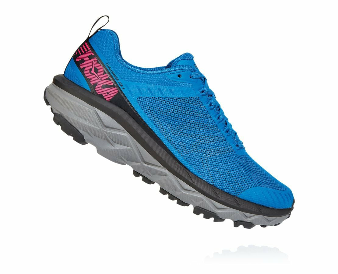Women's Challenger ATR 5 - Imperial Blue / Pink Peacock