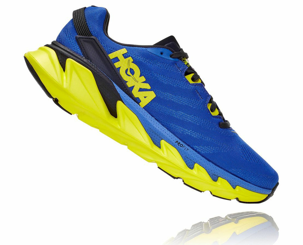 Men's Elevon 2 - Amparo Blue / Evening Primrose