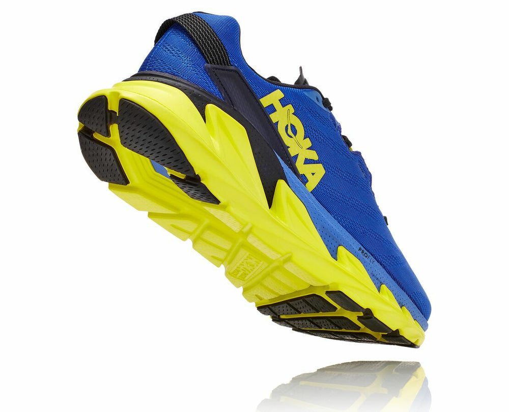 Men's Elevon 2 - Amparo Blue / Evening Primrose