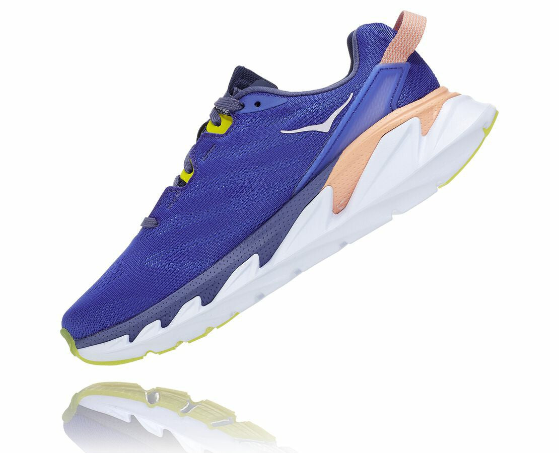 Women's Elevon 2 - Amparo Blue / White