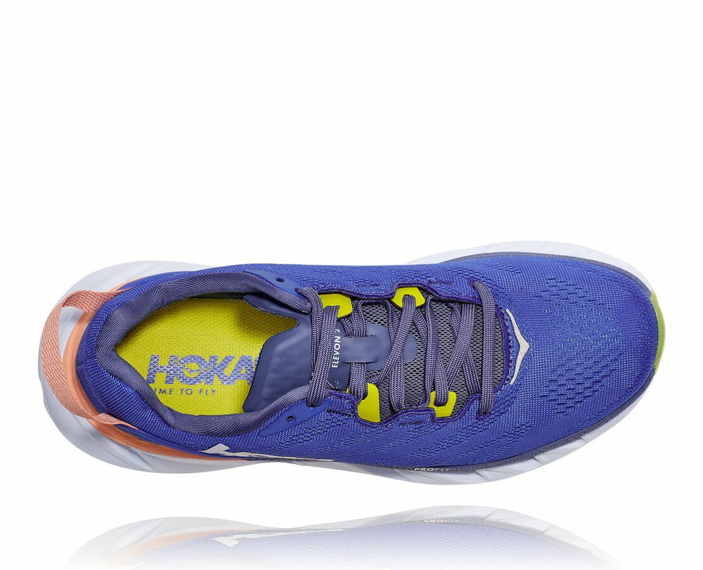 Women's Elevon 2 - Amparo Blue / White