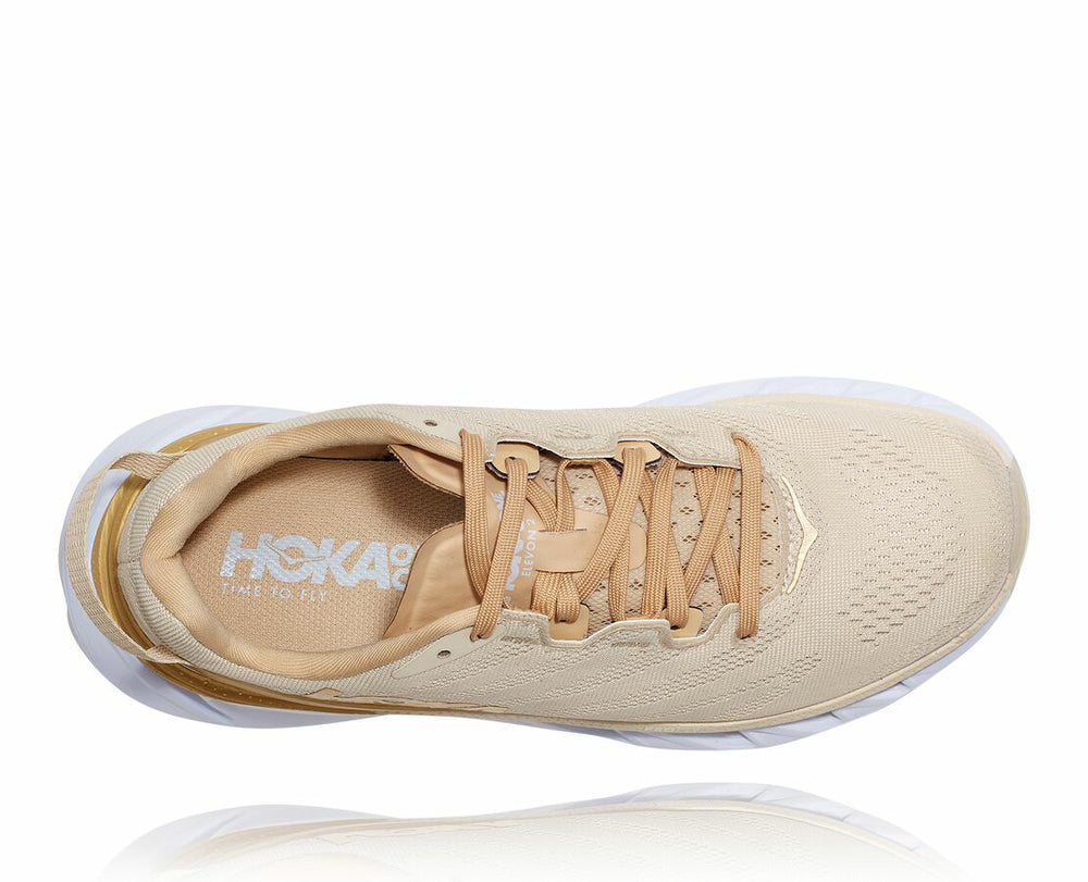 Women's Elevon 2 - Almond Milk / White