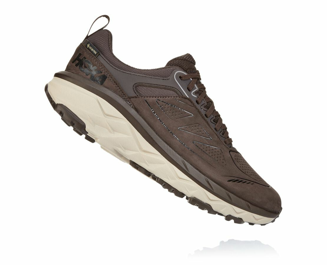 Men's Challenger Low GORE-TEX - Demitasse