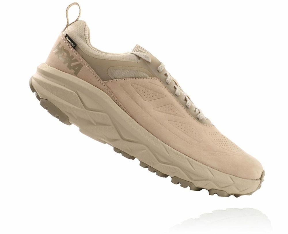 Men's Challenger Low GORE-TEX - Oxford Tan / Dune