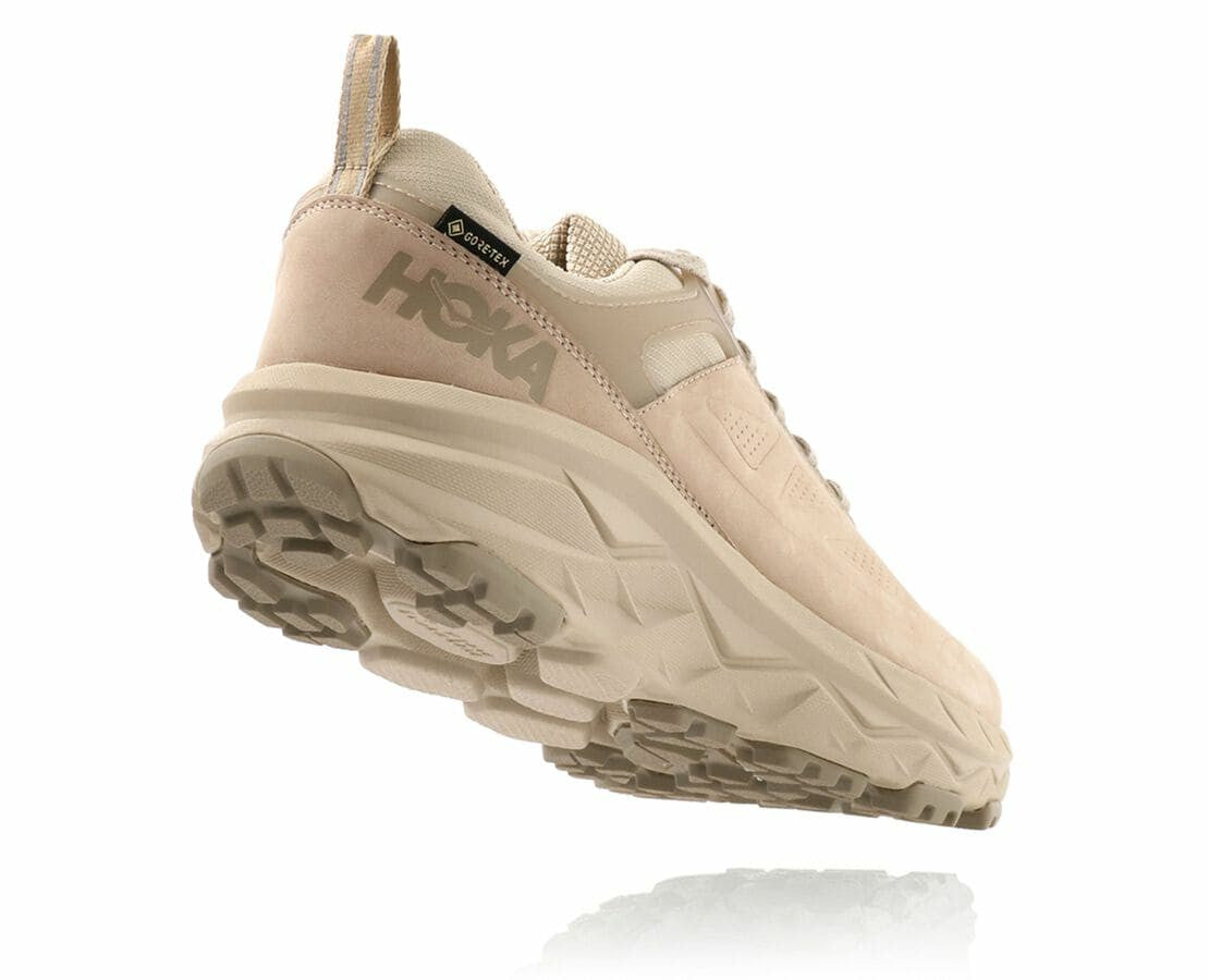 Men's Challenger Low GORE-TEX - Oxford Tan / Dune