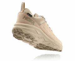 Men's Challenger Low GORE-TEX - Oxford Tan / Dune