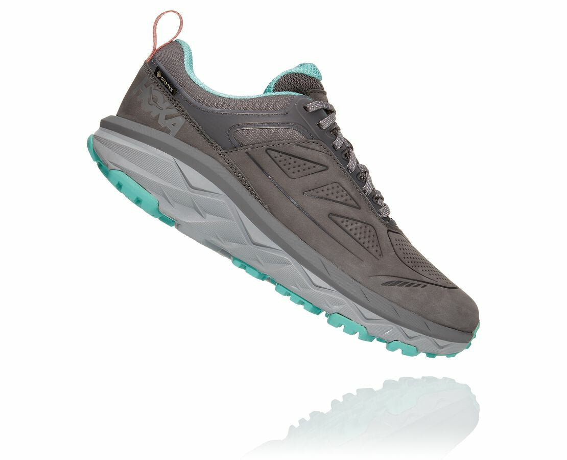 Women's Challenger Low GORE-TEX - Charcoal Gray / Wild Dove