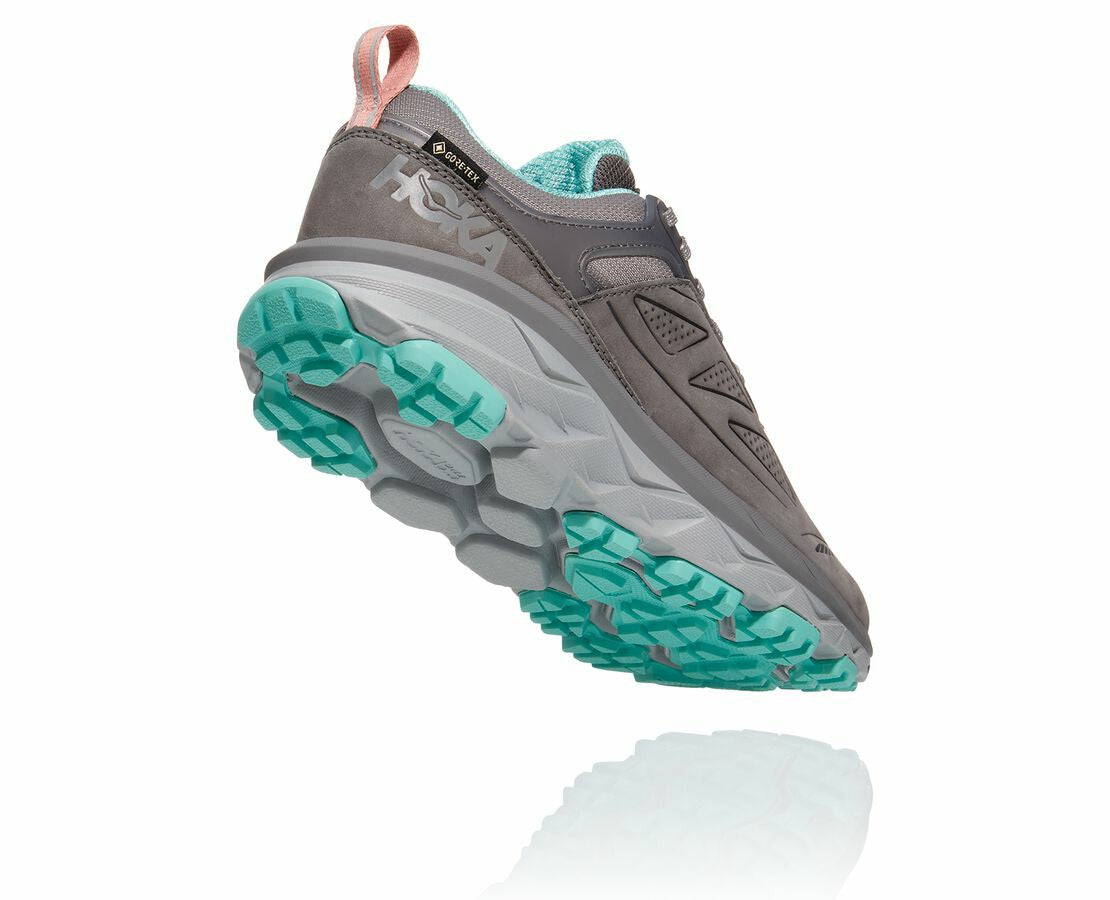Women's Challenger Low GORE-TEX - Charcoal Gray / Wild Dove
