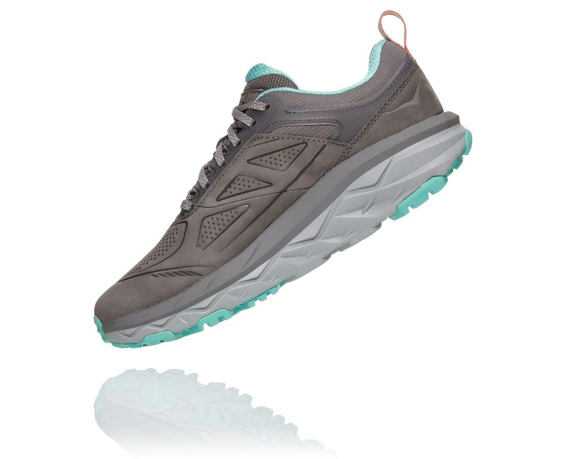 Women's Challenger Low GORE-TEX - Charcoal Gray / Wild Dove