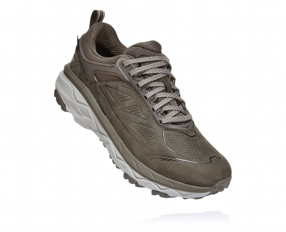 Women's Challenger Low GORE-TEX - Major Brown / Heather