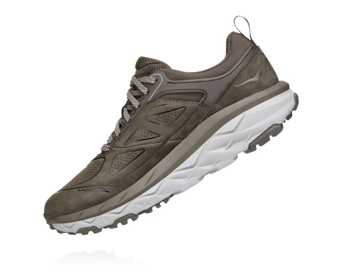Women's Challenger Low GORE-TEX - Major Brown / Heather