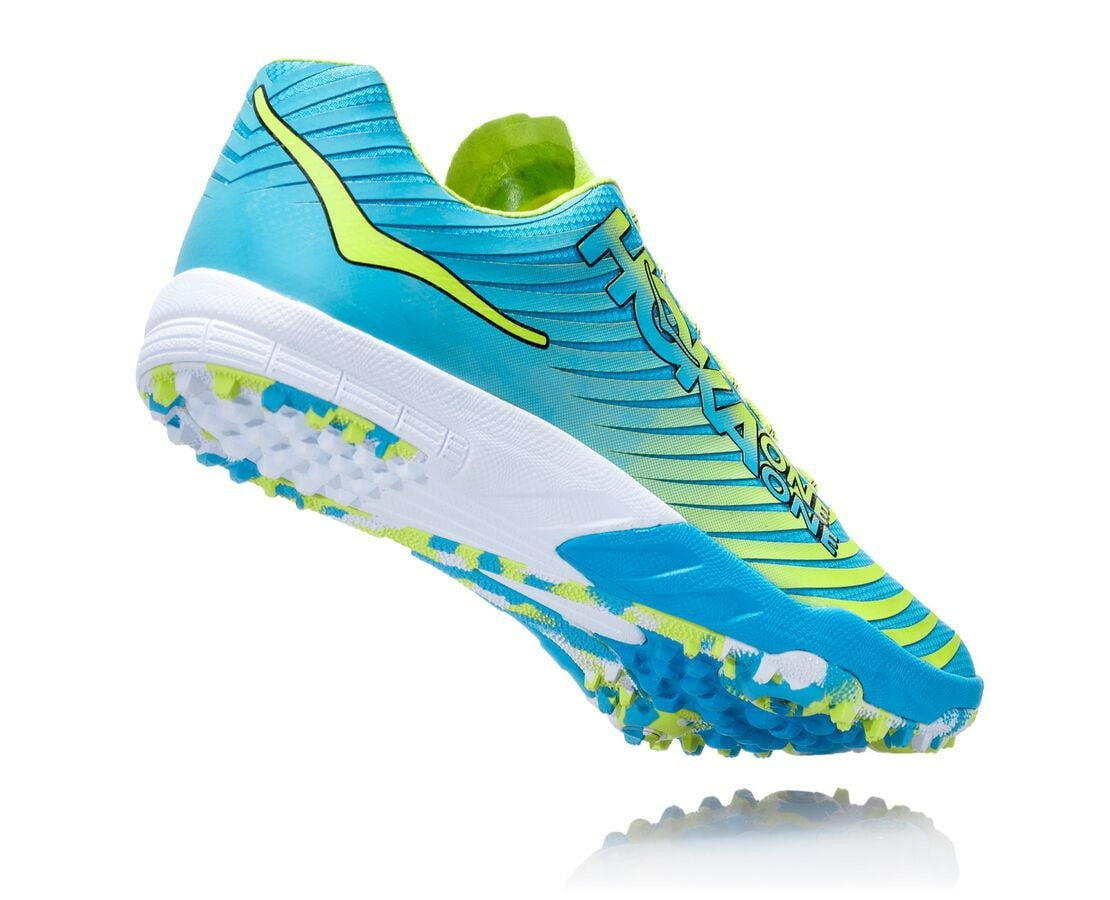 Men's EVO XC Spikeless - Cyan / Citrus