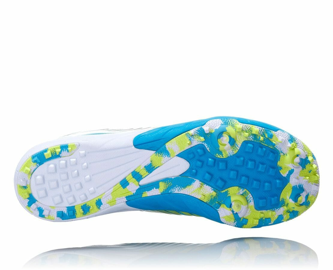 Men's EVO XC Spikeless - Cyan / Citrus