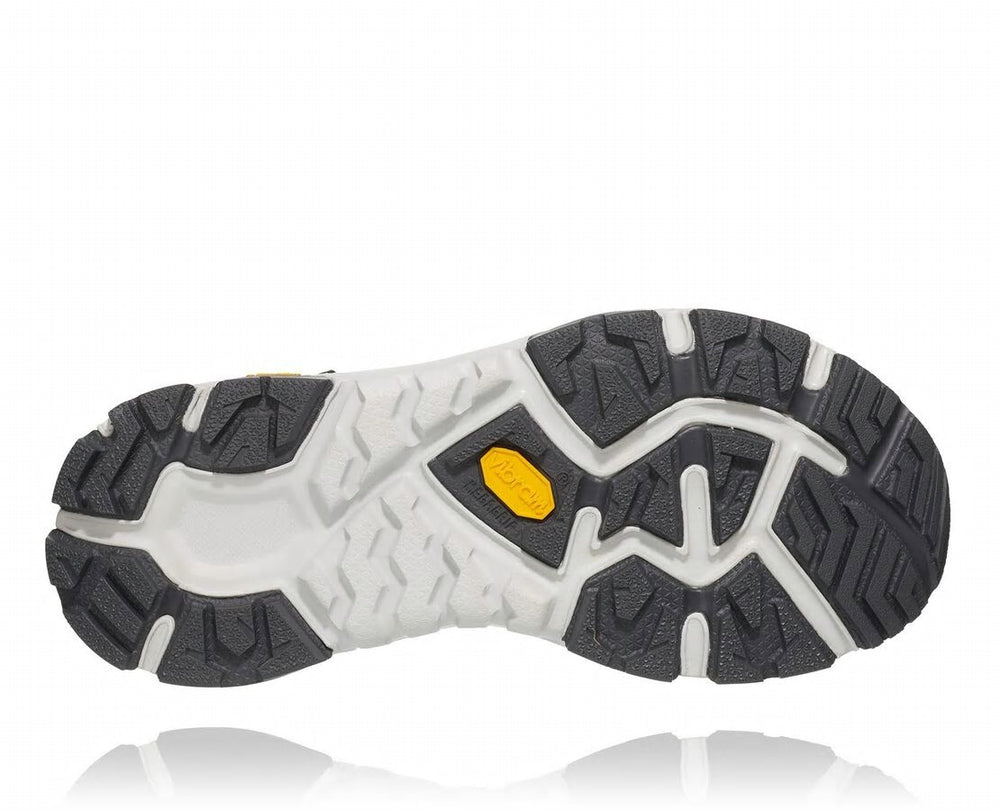Women's Toa GORE-TEX - Dragonfly / Aqua Haze