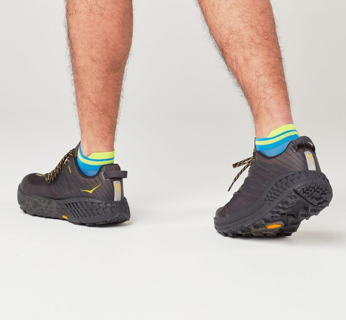 All Gender Performance No-Show Sock - Diva Blue / Citrus