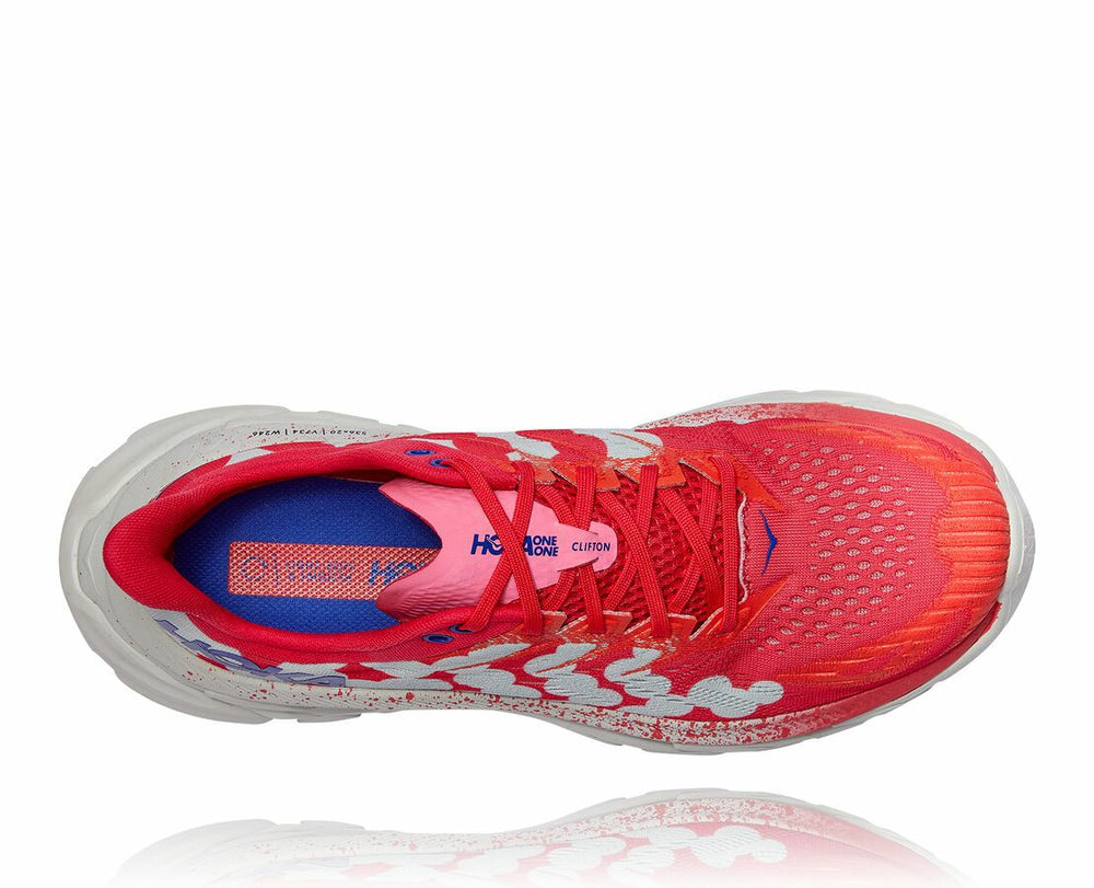 All Gender Clifton Edge Geometric - Paradise Pink / Blue Flower